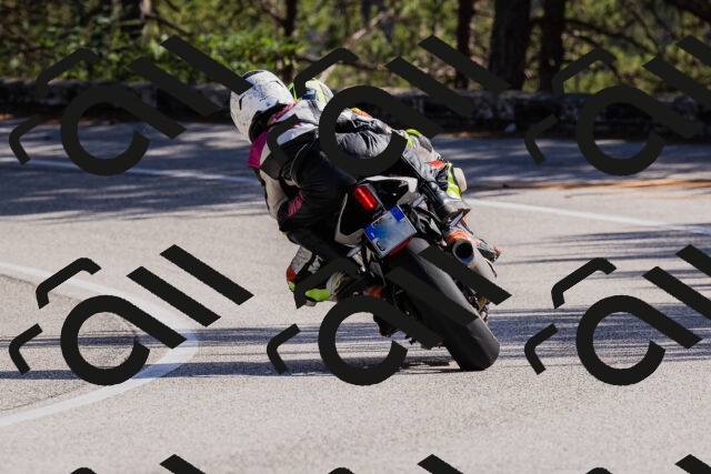 202510111347-_04A2527_c3