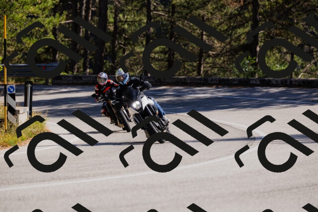 202510111353-_04A2541_c3