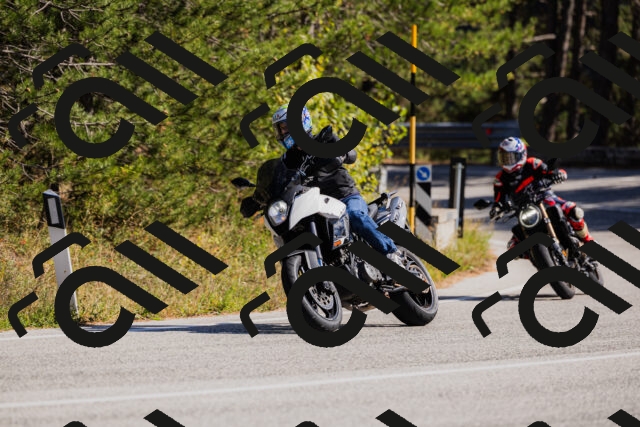 202510111353-_04A2542_c3