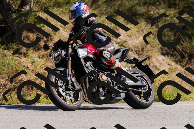 202510111353-_04A2543_c3