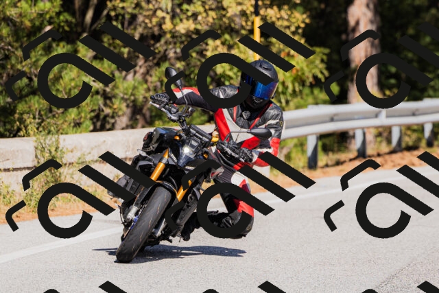 202510111356-_04A2555_c3