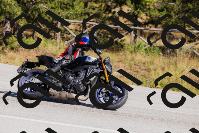 202510111356-_04A2556_c3