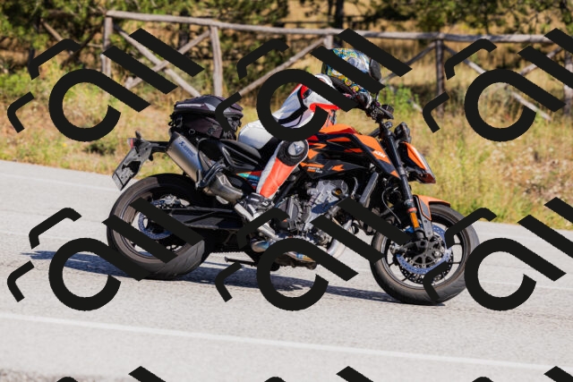 202510111356-_04A2559_c3