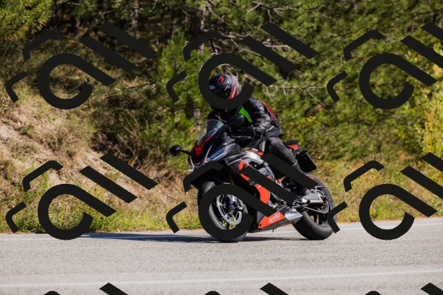 202510111358-_04A2568_c3