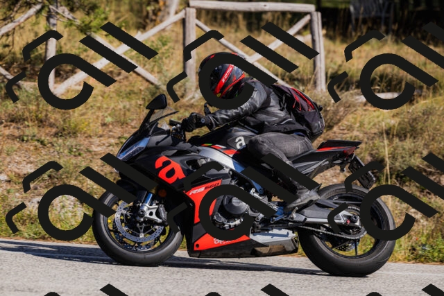 202510111358-_04A2569_c3