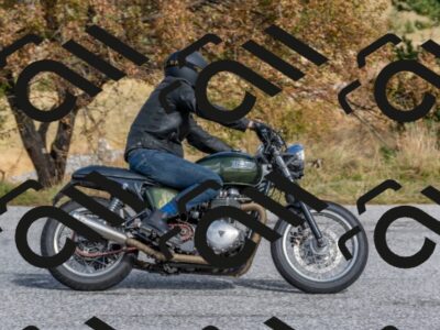 202510111219-DSC_7054_c4_