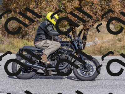 202510111228-DSC_7173_c4_