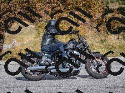 202510111257-DSC_7299_c4_