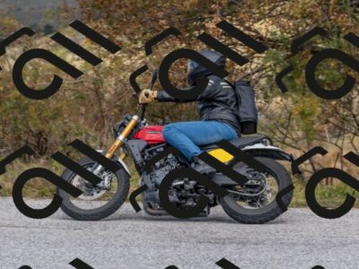 202510111312-DSC_7347_c4_