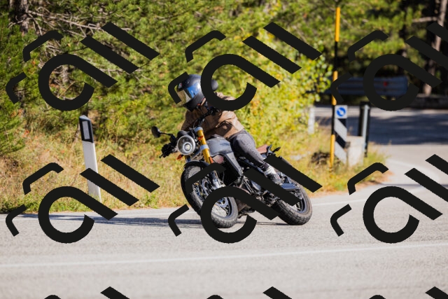 202510111505-_04A2853_c3