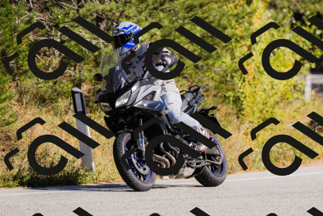 202510111508-_04A2871_c3