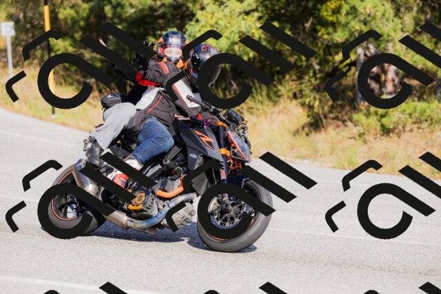 202510111512-_04A2885_c3