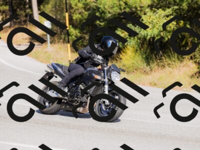 202510111512-_04A2887_c3