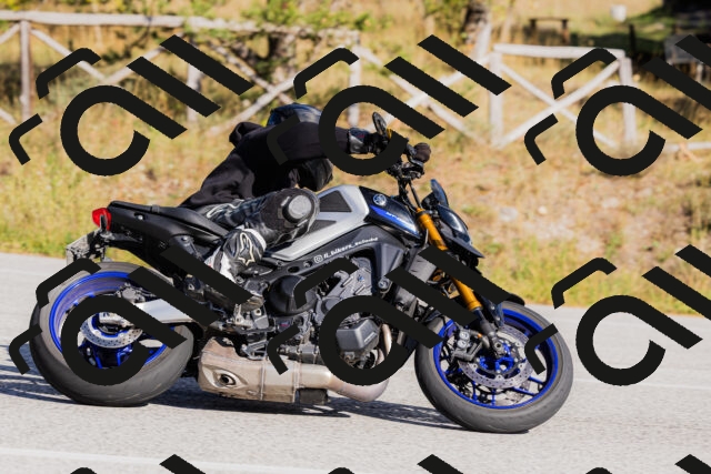 202510111513-_04A2893_c3