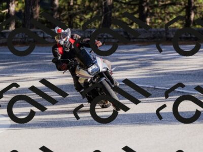 202510111549-_04A3135_c3