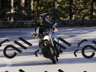 202510111549-_04A3139_c3