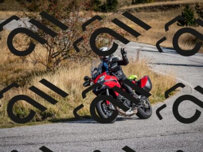 202510121129-DSC_8020_c2