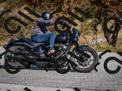 202510121139-DSC_8035_c2