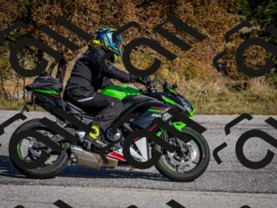 202510121149-DSC_8077_c2