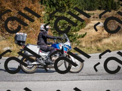 202510121210-DSC_8118_c2