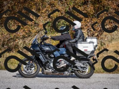 202510121224-DSC_8162_c2