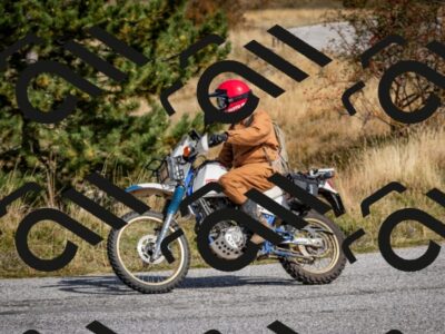 202510121224-DSC_8163_c2