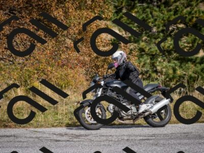 202510121251-DSC_8253_c2