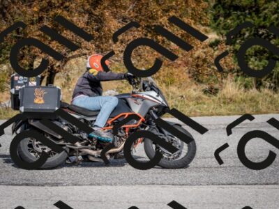 202510121310-DSC_8345_c2