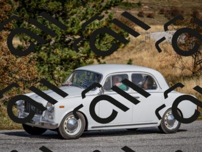 202510121314-DSC_8373_c2