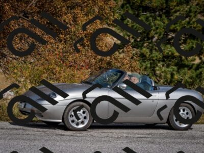 202510121315-DSC_8378_c2