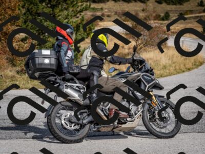 202510121319-DSC_8387_c2