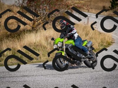 202510121319-DSC_8395_c2