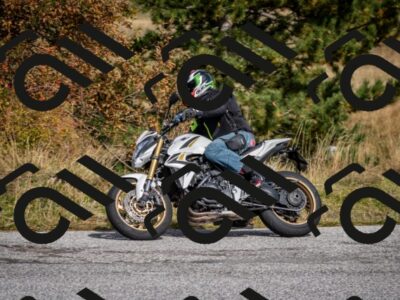 202510121319-DSC_8398_c2