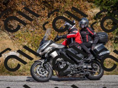 202510121319-DSC_8403_c2