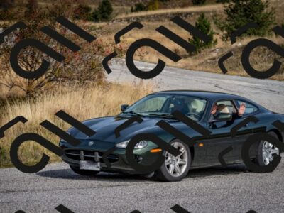 202510121329-DSC_8460_c2