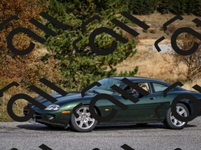 202510121329-DSC_8461_c2