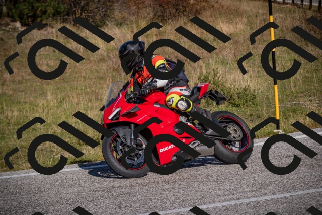 20251012110155-_5008553_am_