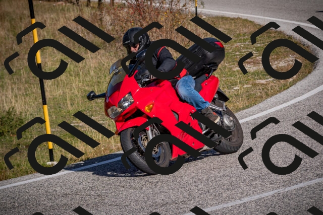 20251012110515-_5008608_am_