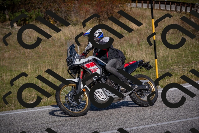 20251012110936-_5008647_am_