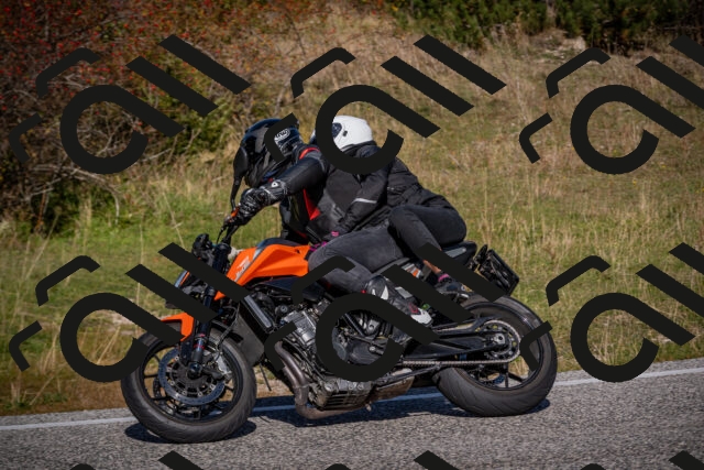 20251012111644-_5008693_am_