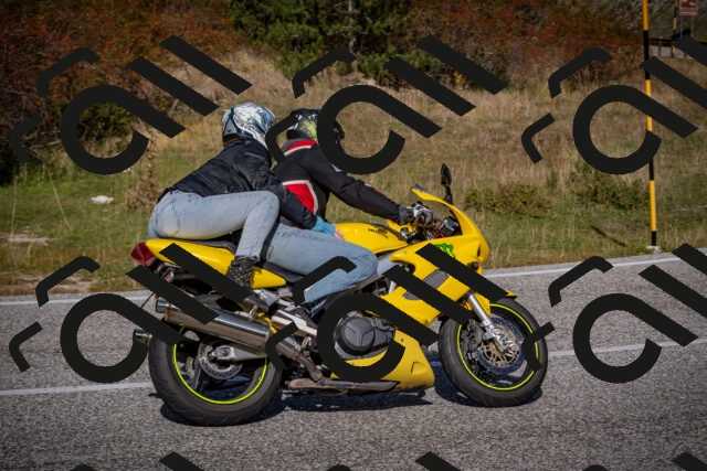 20251012114012-_5008847_am_