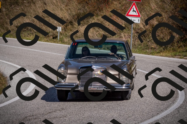 20251012114236-_5008859_am_