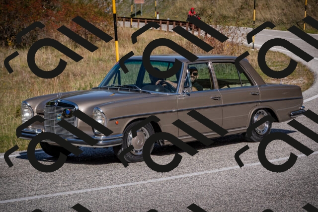 20251012114238-_5008862_am_