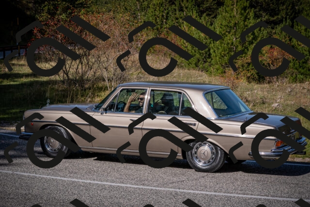 20251012114239-_5008863_am_