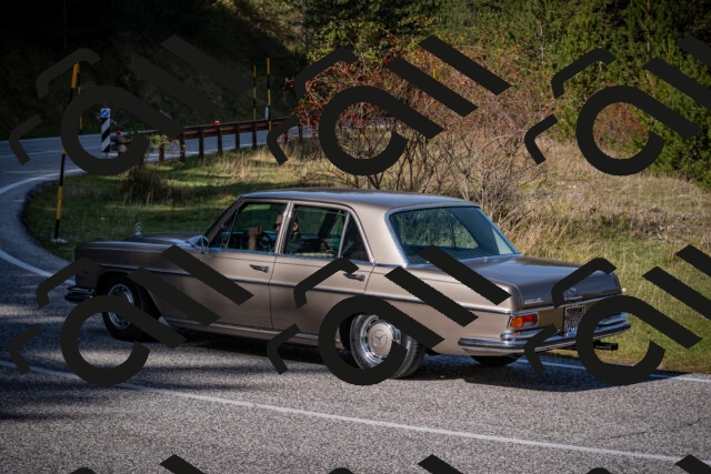 20251012114239-_5008864_am_