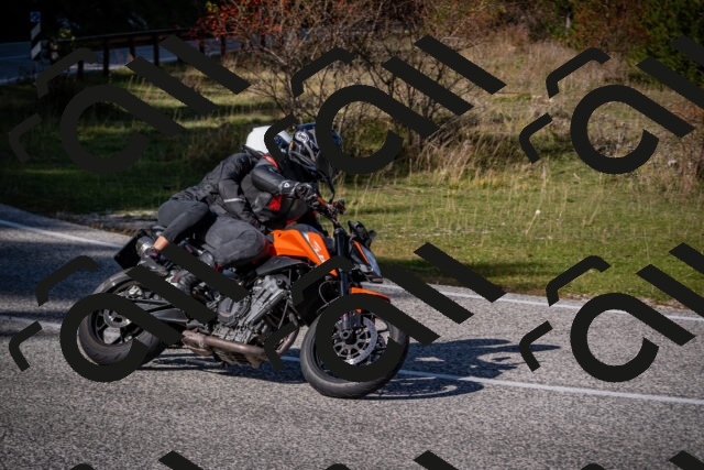 20251012115202-_5008997_am_