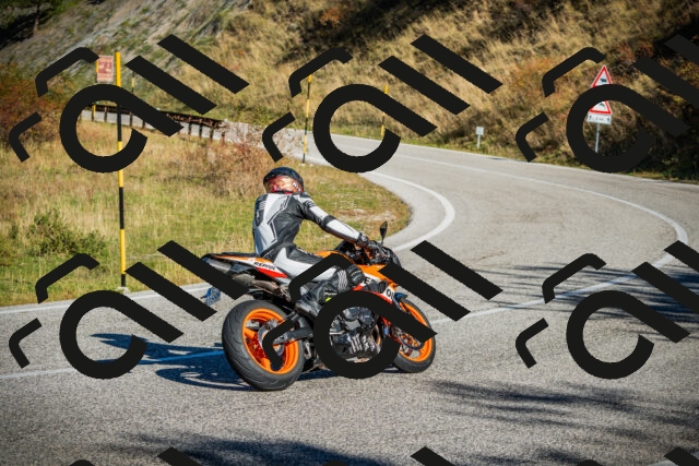 202510111032-DSC01845_c1_