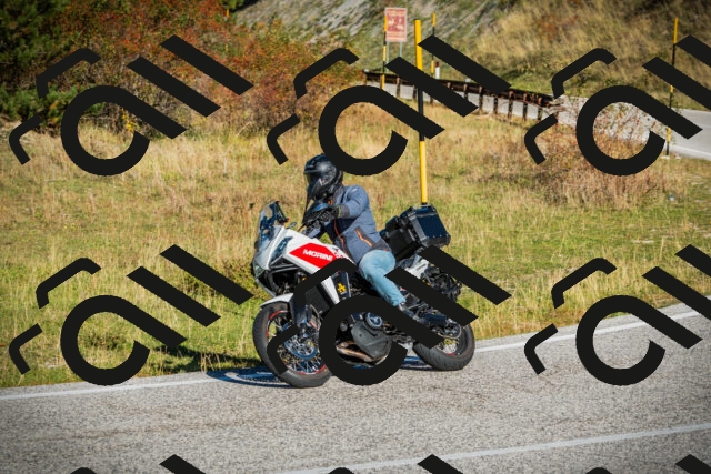 202510111035-DSC01853_c1_