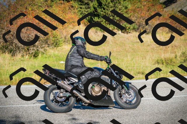 202510111042-DSC01880_c1_