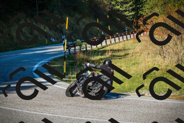 202510111045-DSC01892_c1_